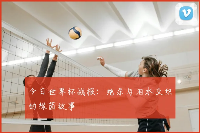 今日世界杯战报:绝杀与泪水交织的绿茵故事