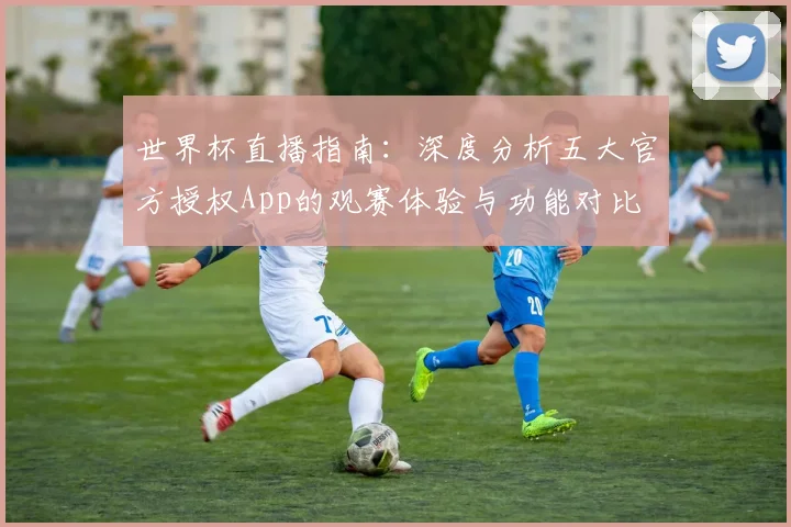 世界杯直播指南：深度分析五大官方授权App的观赛体验与功能对比