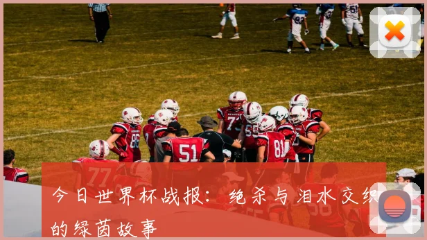 今日世界杯战报：绝杀与泪水交织的绿茵故事